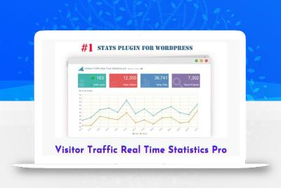 Visitor Traffic Real Time Statistics Pro v10.5 Plugin-皓月星辰