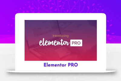 Elementor Pro v3.24.1 + 3.24.2 插件-皓月星辰