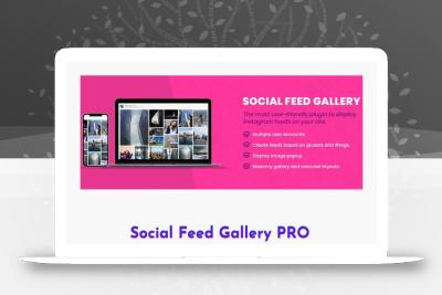 Social Feed Gallery PRO v4.1.0 Plugin-皓月星辰