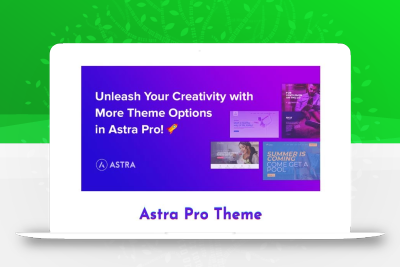 Astra Pro v4.8.2 WordPress 主题-皓月星辰