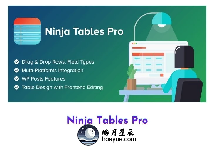 Ninja Tables Pro v5.0.13 插件-皓月星辰