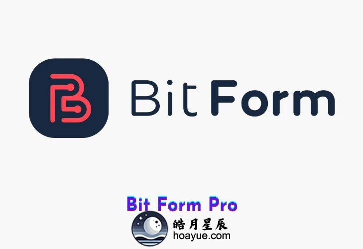 Bit Form Pro v2.7.3 WP插件-皓月星辰