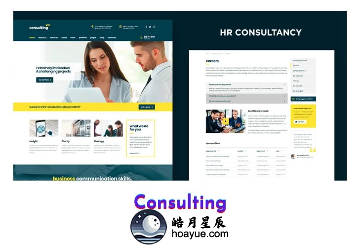 Consulting v6.6.3 WordPress 主题-皓月星辰