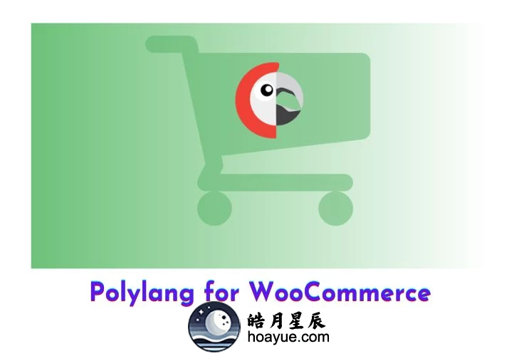 Polylang for WooCommerce v2.1 插件-皓月星辰