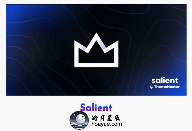 Salient v17.0.3 WordPress 主题-皓月星辰