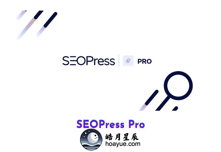 SEOPress Pro v8.2 WP插件-皓月星辰